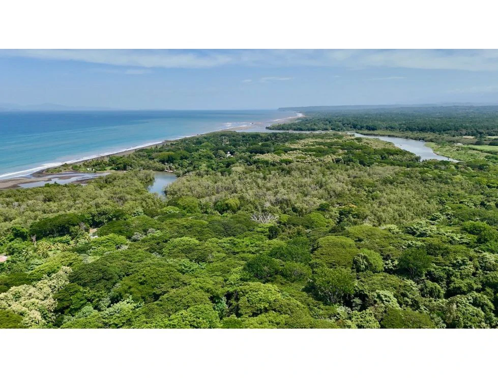 Spectacular Lot in Nativa, Garabito: Ocean Views and Pure Nature - photo 4