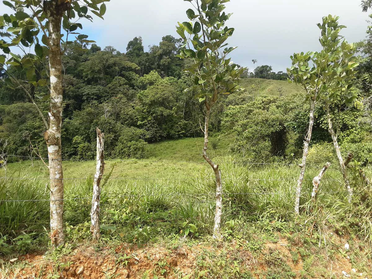 Finca Tesoro Escondido - The Jewel of Uvita - Gallery image 42