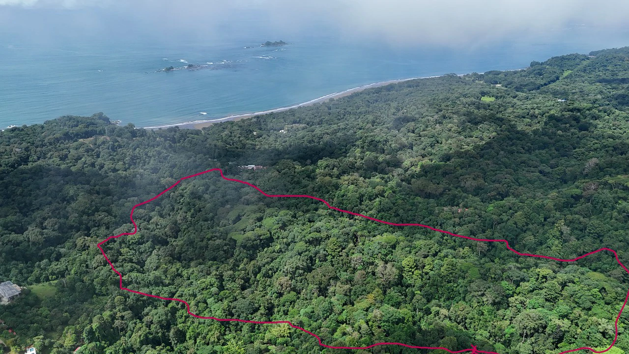 Finca Las Cataratas in Ballena: Mountain Home Construction Site For Sale in Bahía Ballena