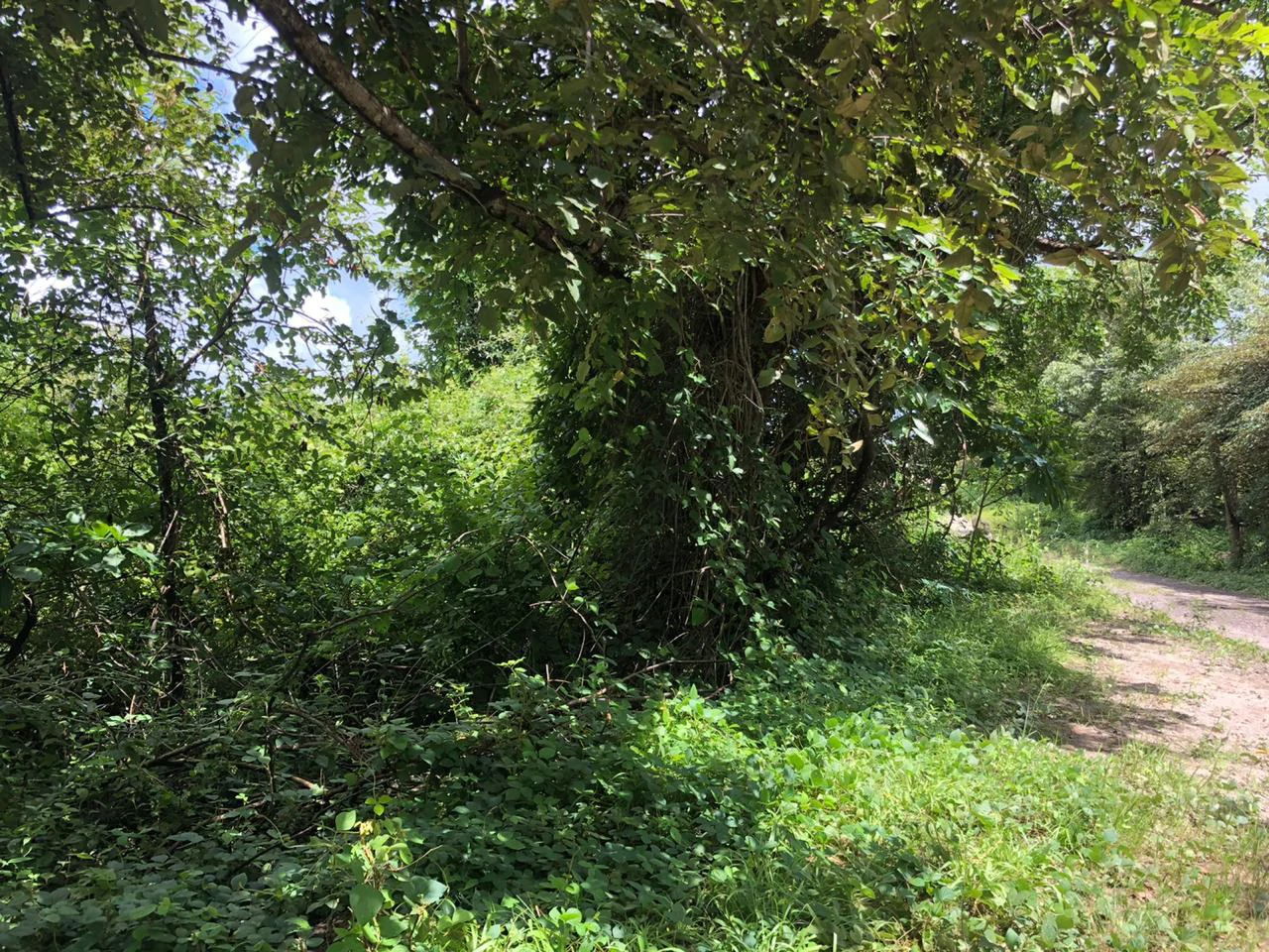 Development property for sale, Building project opportunity close to Liberia Airport and City with beautiful Flat property - Gallery image 7