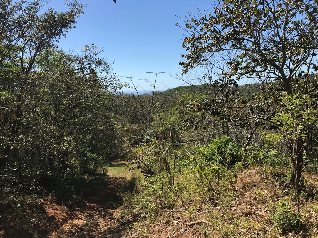 Ocean view farm for sale in the mountains of San Juanillo - Gallery image 15