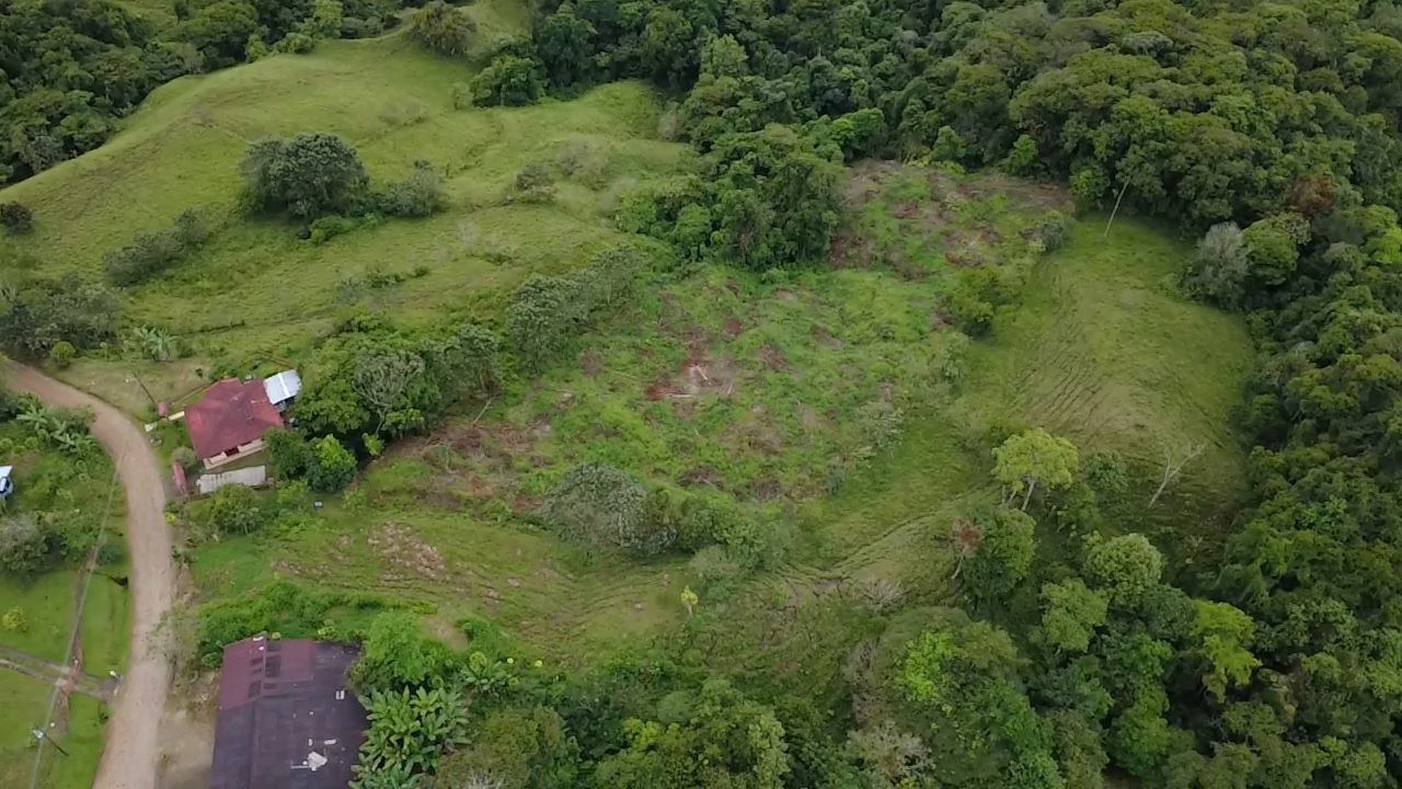 Lot for sale, located in San Blas, Perez Zeledon: Almost 1.4 hectares of land for sale with open views of the General Valley. - Gallery image 2