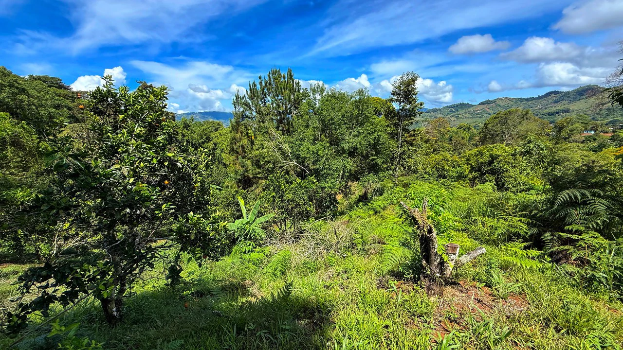 Home Construction Site For Sale in San Rafael Norte - Gallery image 11