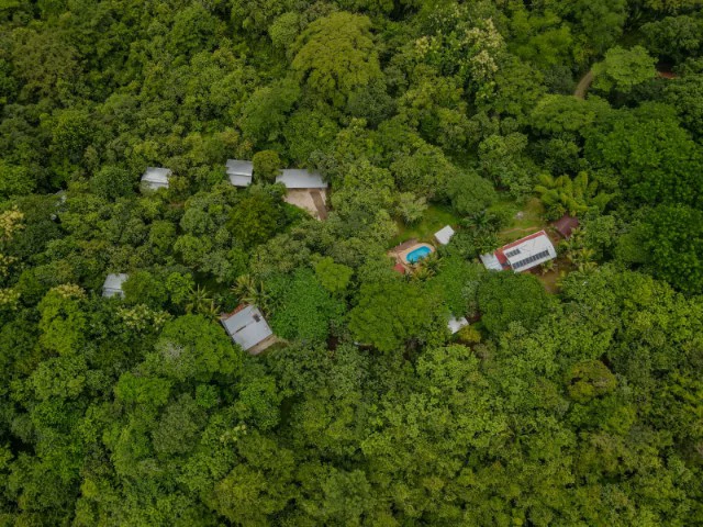 Nosara's Brand New Top Villas as a Business Opportunity in the dense forest of catchment area, 7 villas for sale in Costa Rica's Healthy Blue Zone - Gallery image 29