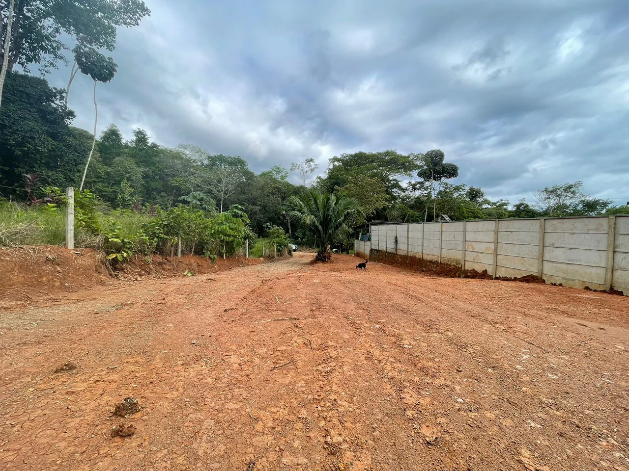 "Serene Land in Uvita: Opportunity Ready to Build" - Gallery image 6