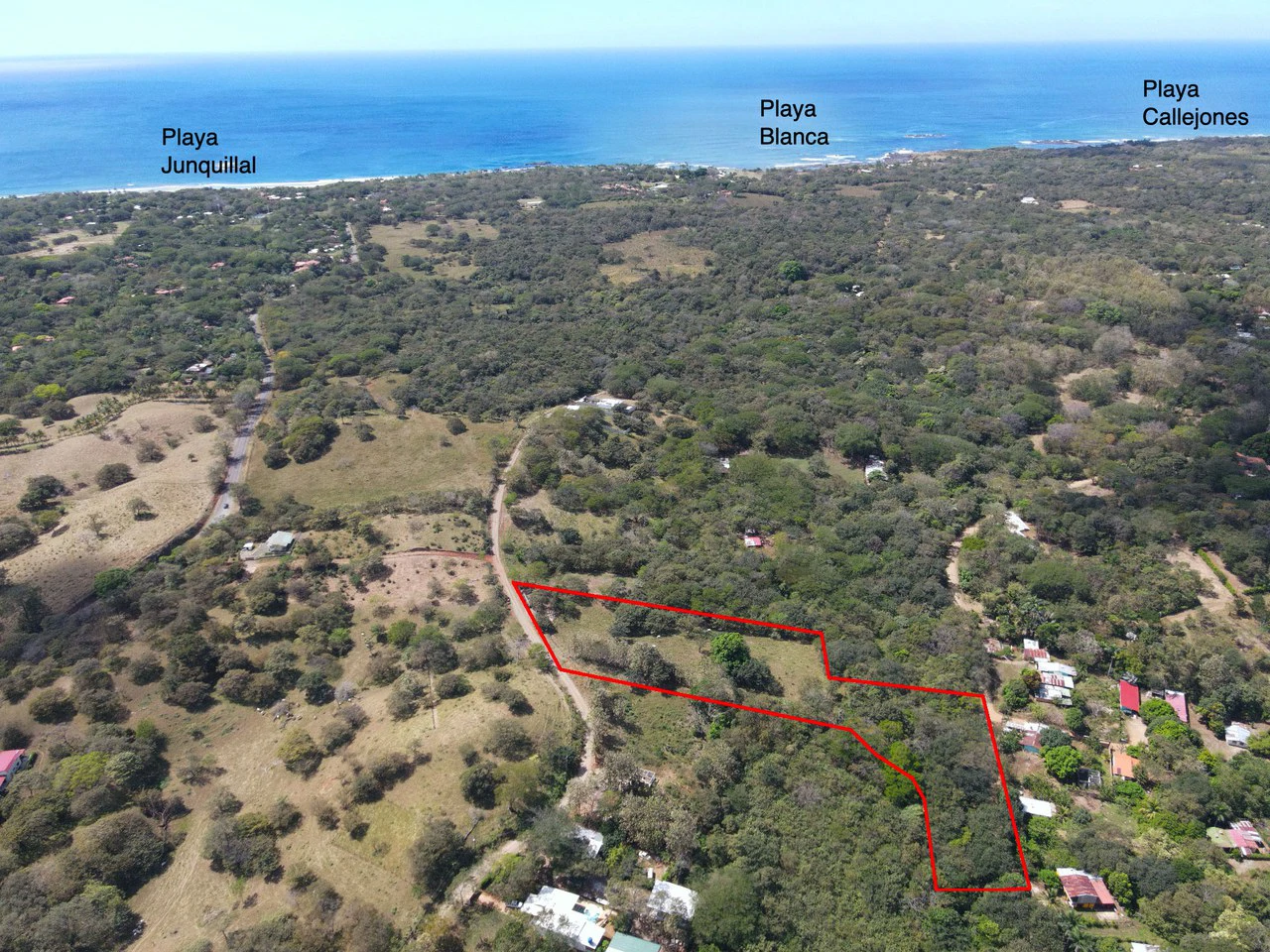 Four Acres of Paradise - Gallery image 3