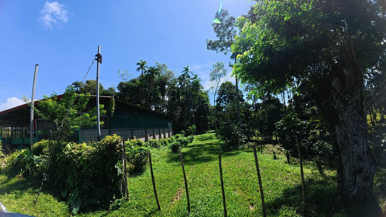 Mountain Home Construction Site For Sale in Centro de Pérez Zeledón - Gallery image 10