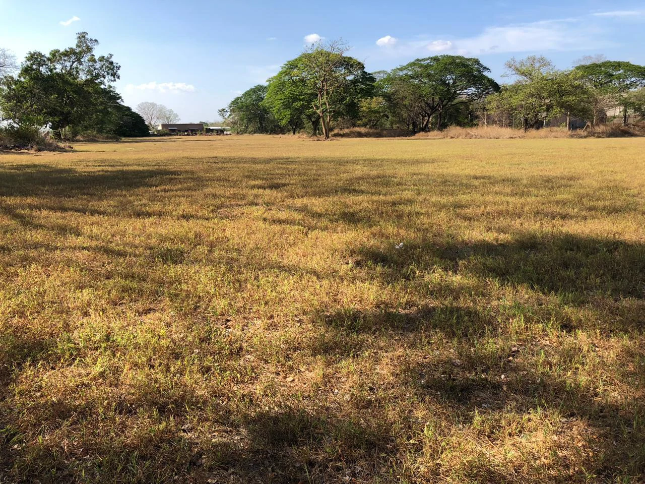 Large property with warehouses in Filadelfia, Carrillo - Gallery image 11