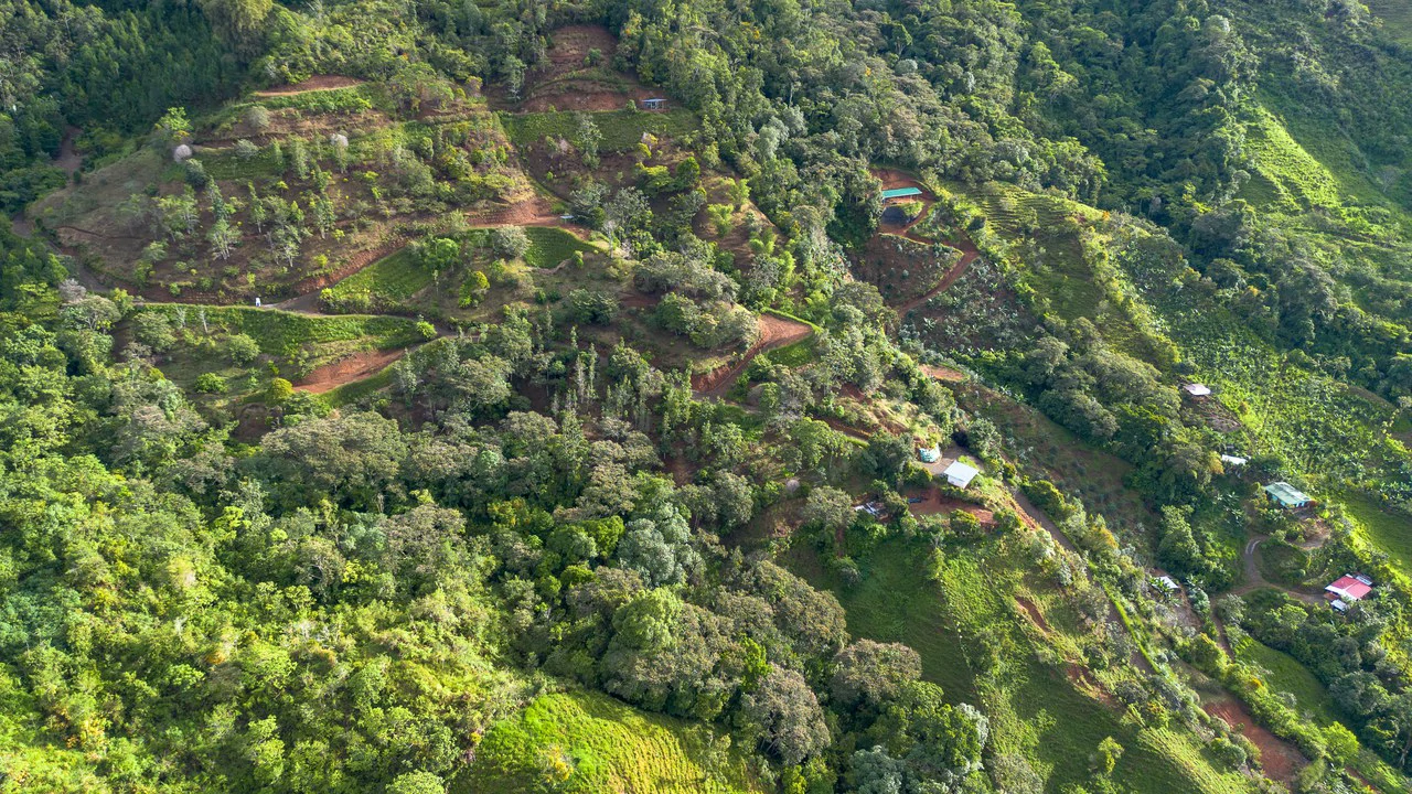 10.21 Acres with Views & Plantels – Pérez Zeledón - Gallery image 30