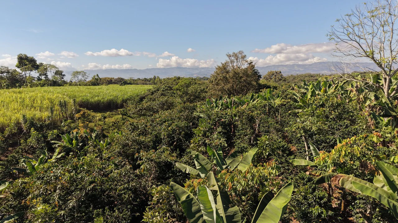 Countryside Home Construction Site For Sale in Santa Elena - Gallery image 2