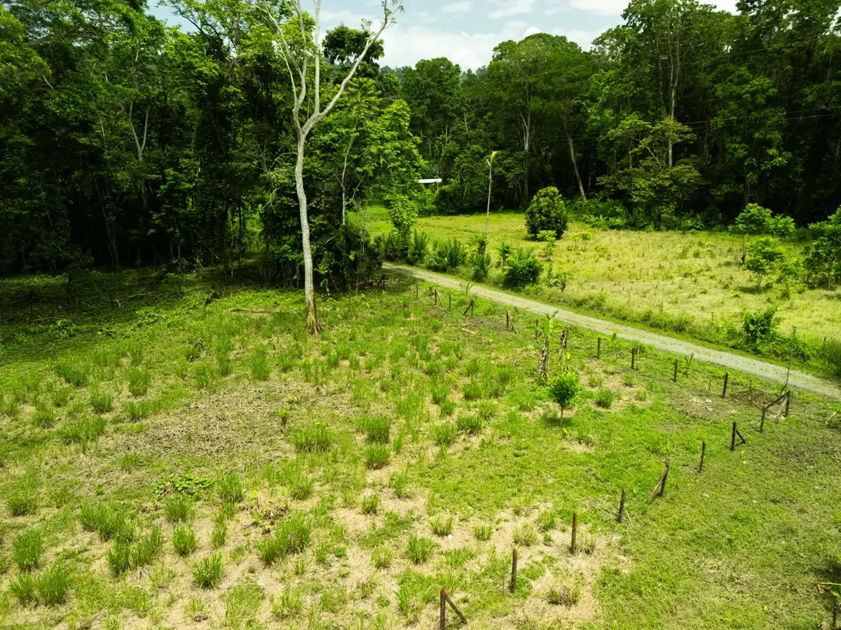 ID 1134: 3960m² Flat Development Lot Near Cahuita, Costa Rica - photo 6