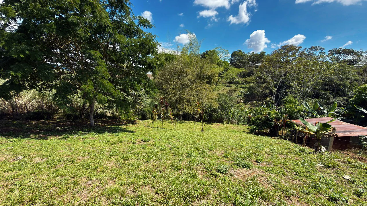 Countryside Home Construction Site For Sale in San Pedro - Gallery image 5