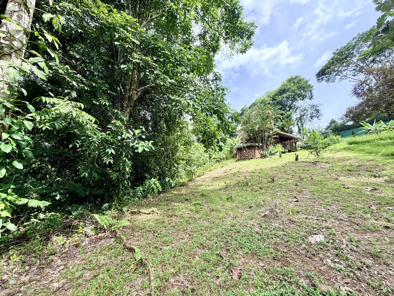 La Unión Road Development – Buildable Lots with River Access in Uvita - photo 4
