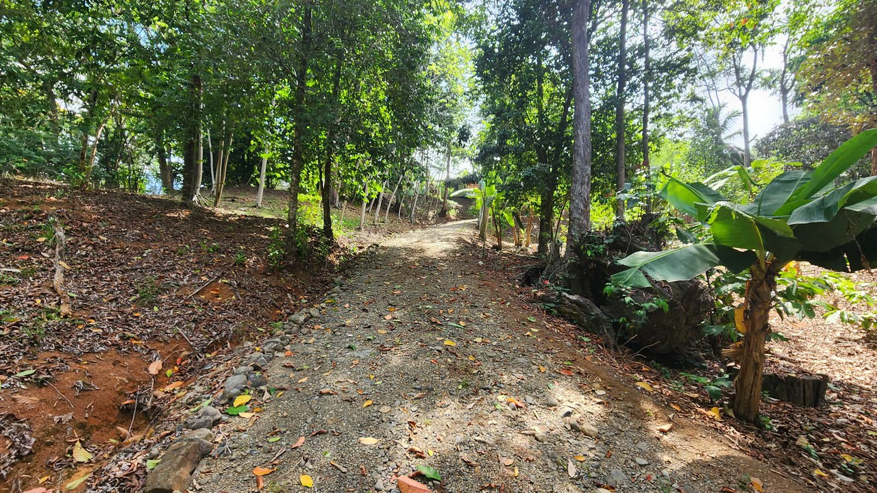 Villas Azul: Direct Beach Front Access in Uvita, 3 Villas, 2 Casitas, Development Land Piñuelas Beach, Uvita, Puntarenas, Costa Rica - Gallery image 76