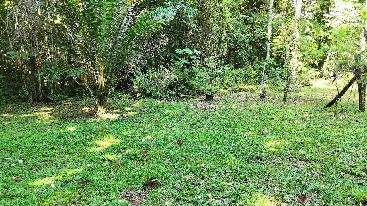 LOTE EN PEÑAS BLANCAS: Mountain Home Construction Site For Sale in El General - Gallery image 9