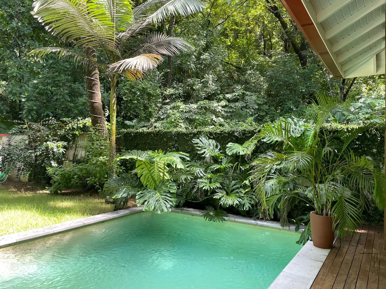 Casa Gala: Price Drop! New Modern and Tropical House Steps Away from Downtown and the Beach! - Gallery image 2