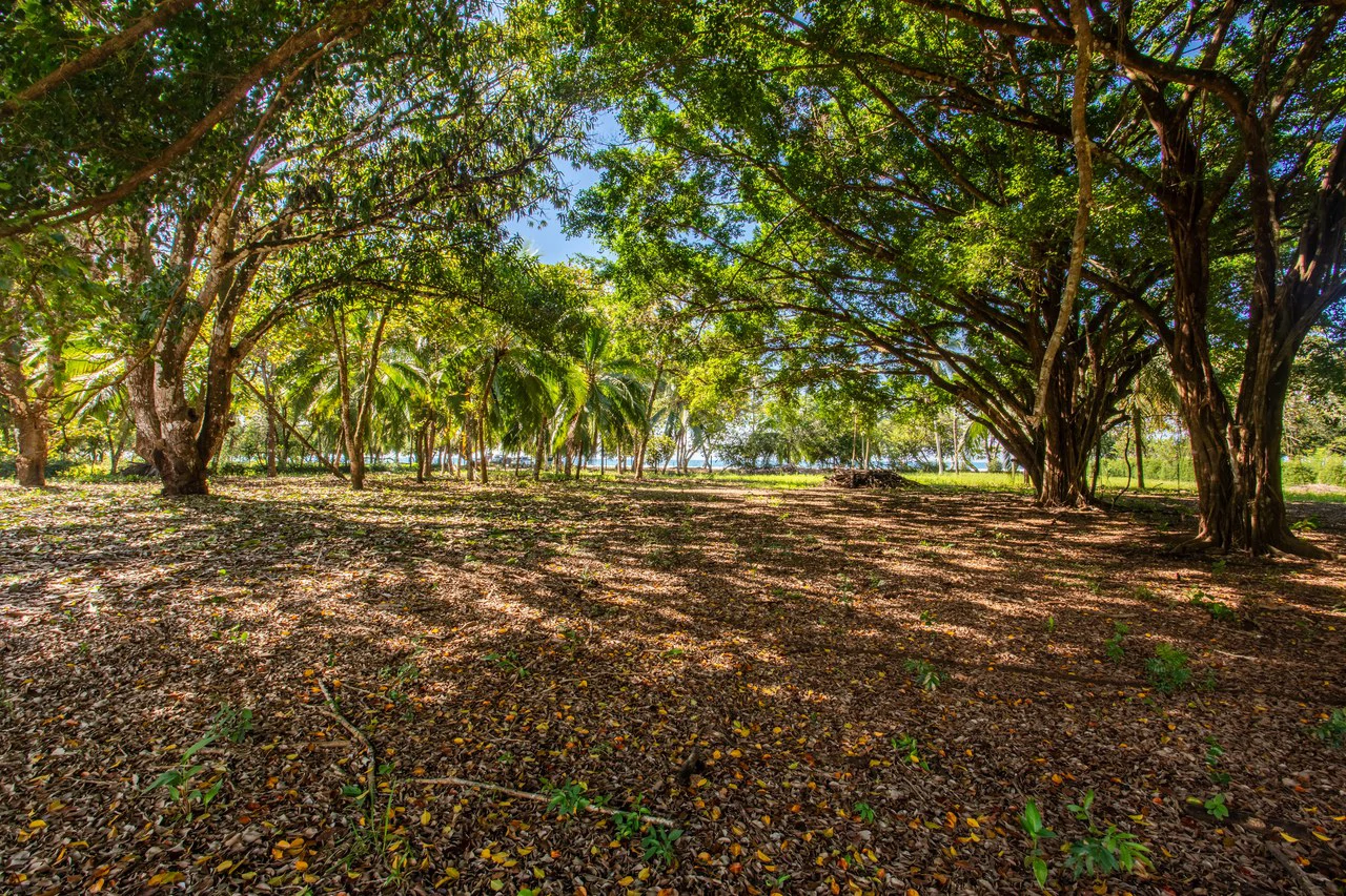 Exclusive Beachfront Opportunity south of Manuel Antonio Costa Rica - Gallery image 17
