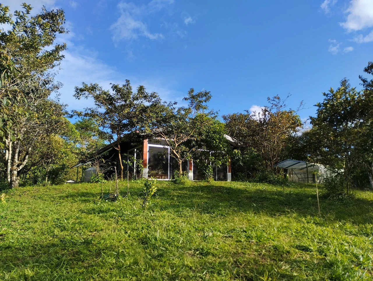 Charming Private Mountaintop home in the perfect climate of San Vito Coto Brus, San Isidro-Perez Zeledon, San Vito, San Jose, Costa Rica - Gallery image 5