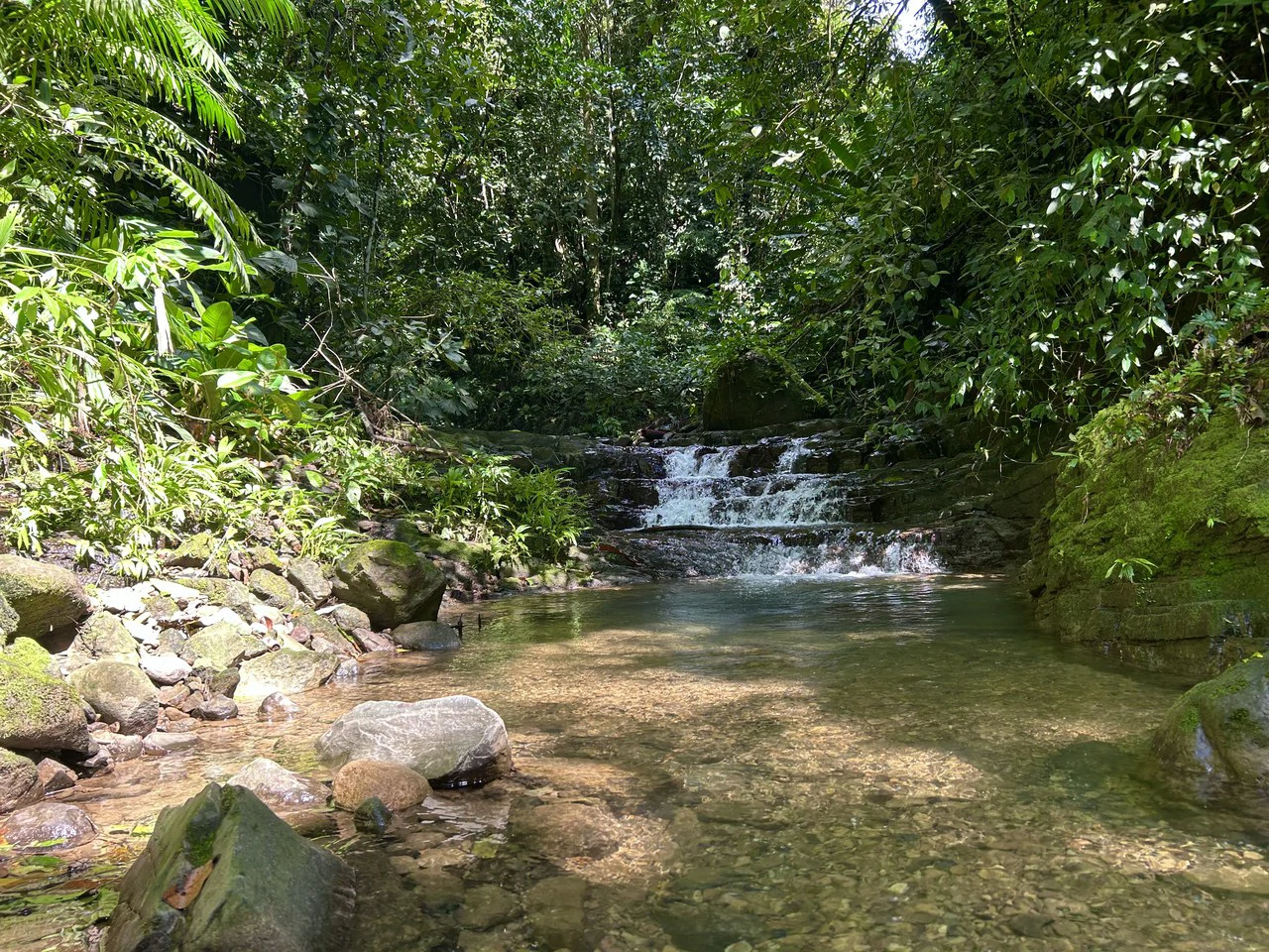 Selva Vista Estate: 5.9 Acres of Wild Beauty - Gallery image 24