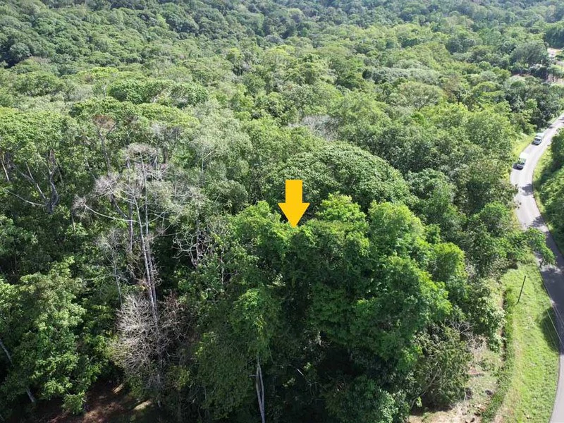 2.47 Acres Property | Mountain Top Ocean View lot in Bahía Chal - Gallery image 16