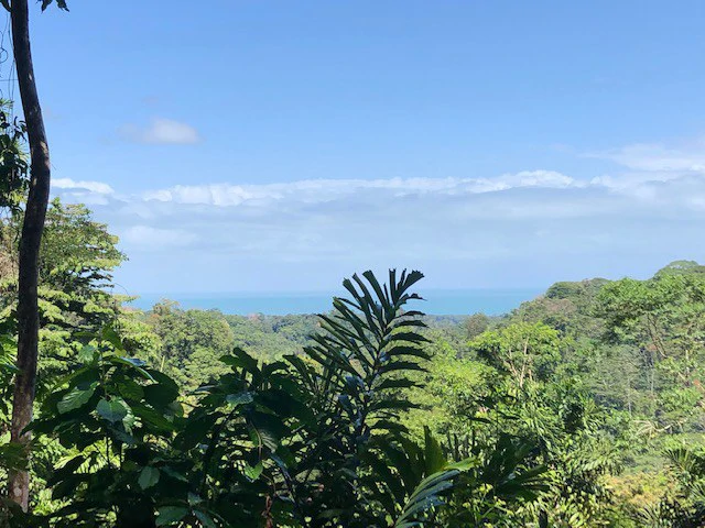 Ocean View Dream Property