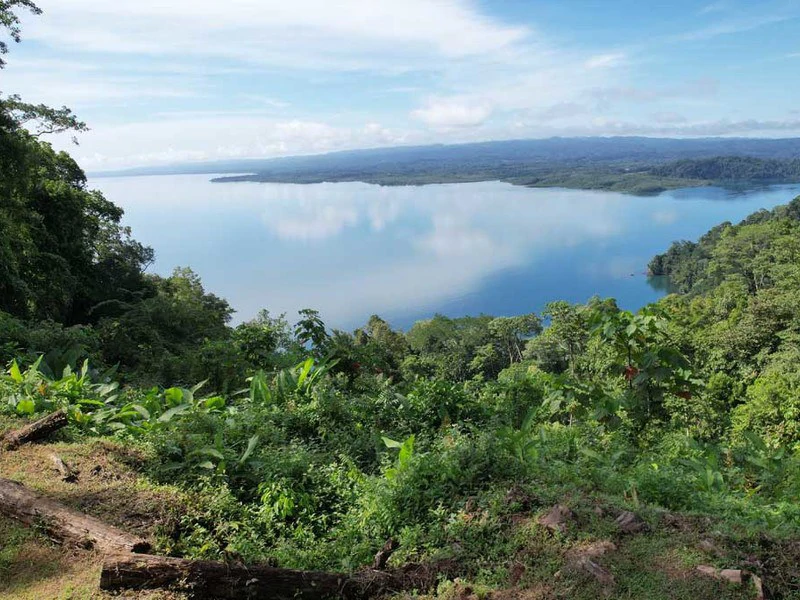 2.47 Acres Property | Mountain Top Ocean View lot in Bahía Chal - Gallery image 6