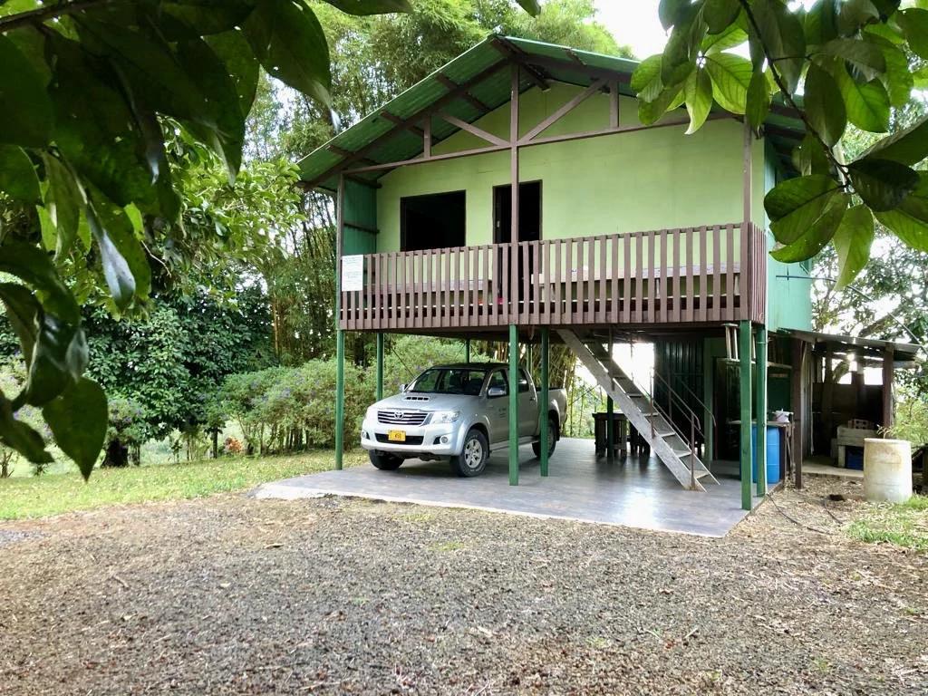 Spectacular 72.44 acres: Magical rain forest paradise with river, waterfall, hiking trails, diverse wood and fruit trees. Perfect location for retreat development, hotel or home. - photo 20