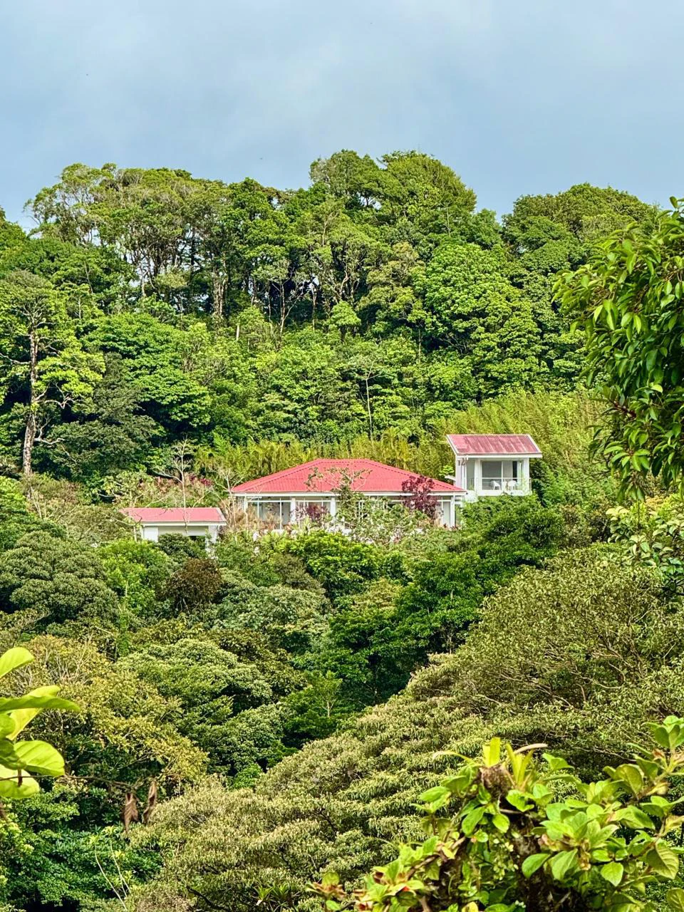 FLOWERS OF PARADISE - Artists Villa with Character - Gallery image 2