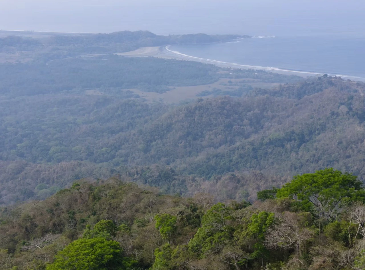 Ocean view farm for sale Costa Rica San Miguel Beach Costa de Oro - Gallery image 14