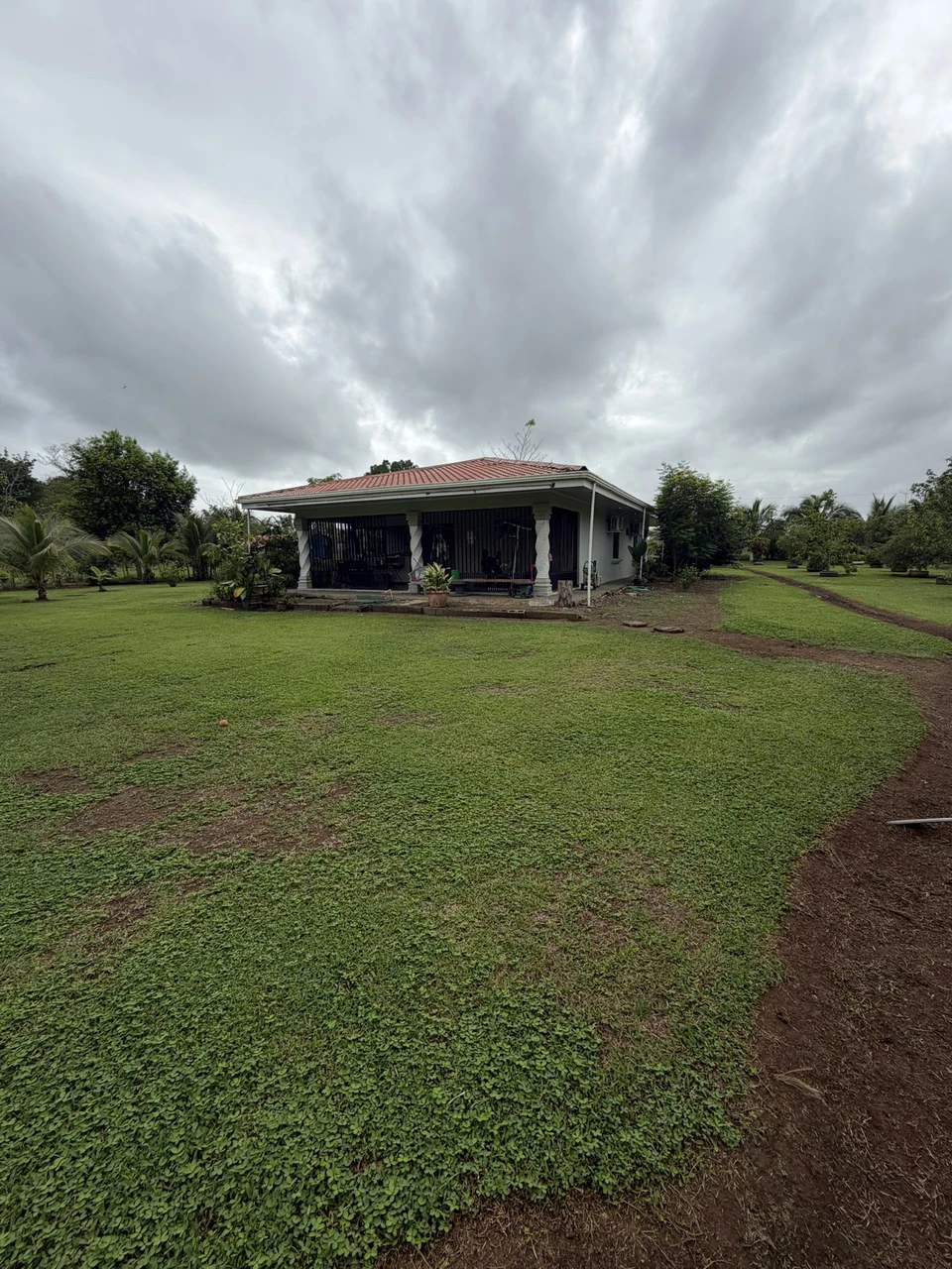 Country house with fruit trees for sales Upala Costa Rica