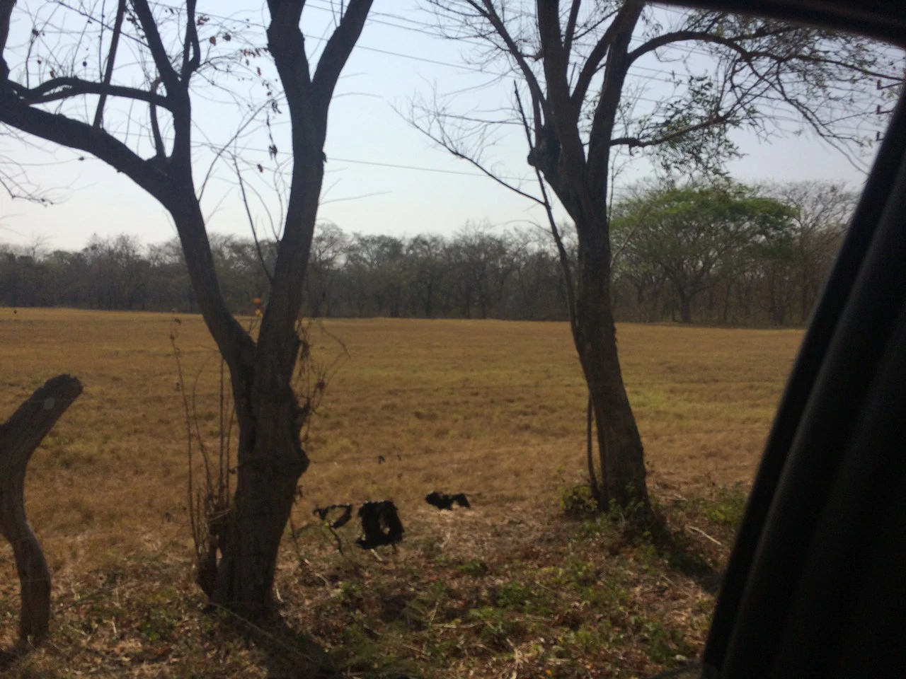Lotes desde los 5 mil metros en Liberia Centro: Development Parcel For Sale in Liberia - Gallery image 5