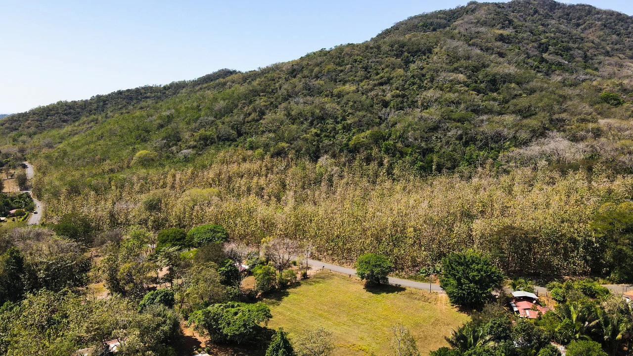 Ocean View Farm for Sale Guanacaste Costa Rica - Gallery image 10