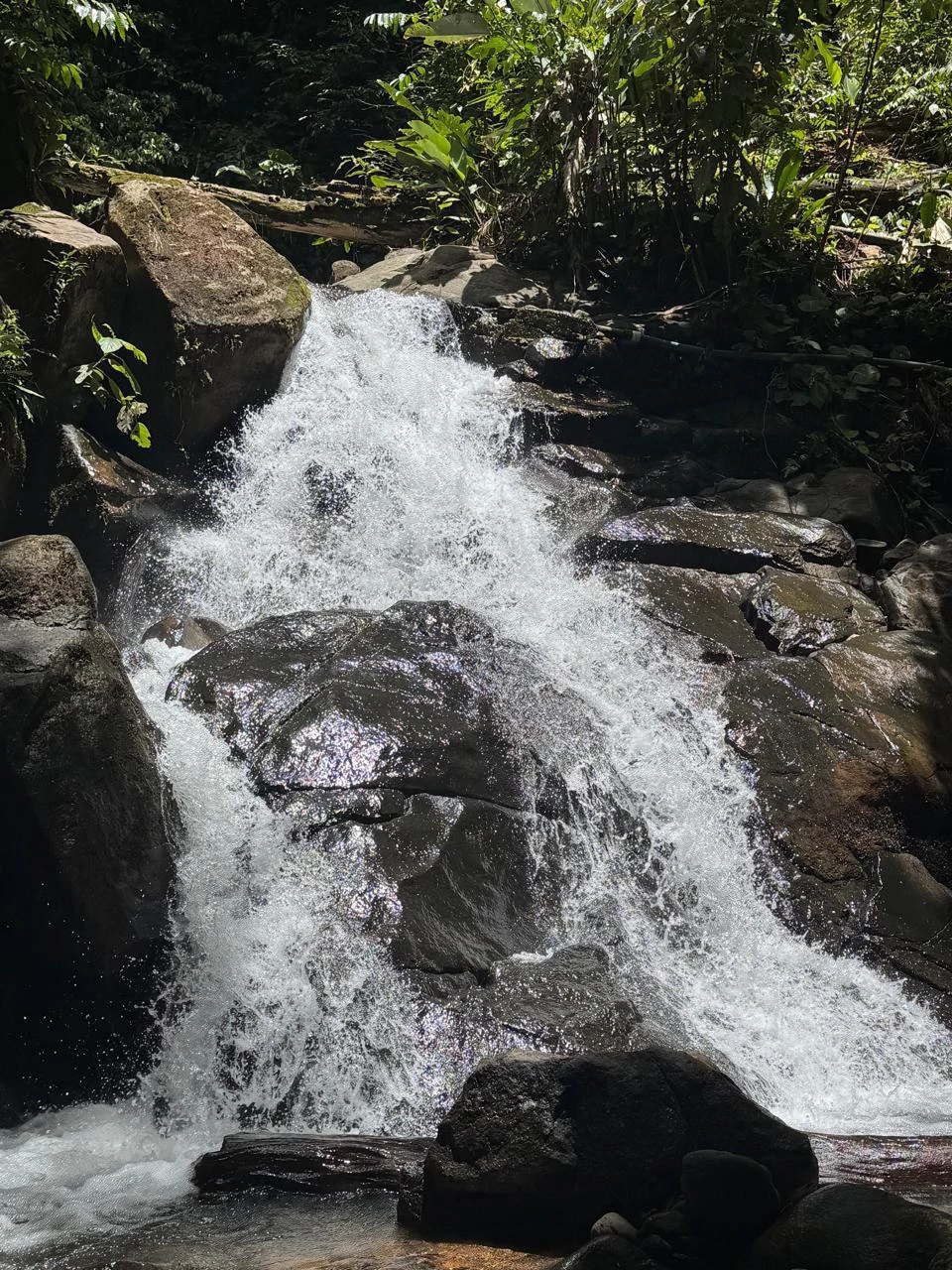 50 Acre Waterfall and River Paradise Above Dominical - Gallery image 48