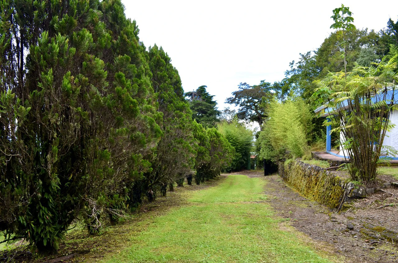 Farm for sale in Santa Barbara de Heredia - Gallery image 7
