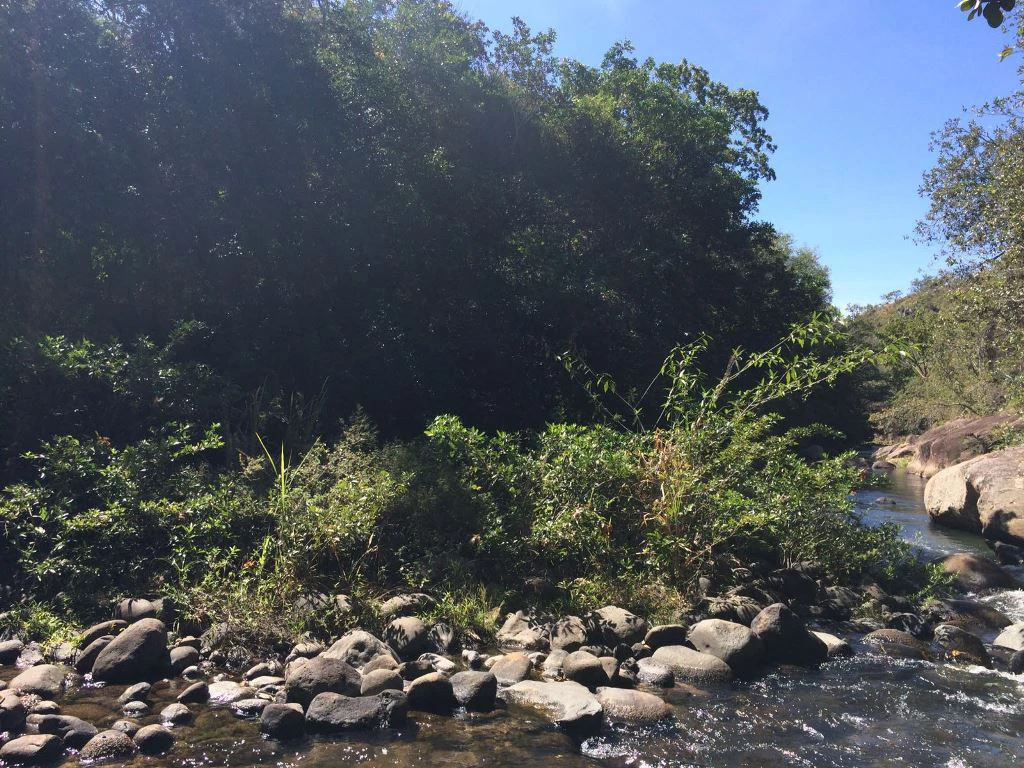 Large Property in Curubandé of Liberia - Gallery image 11