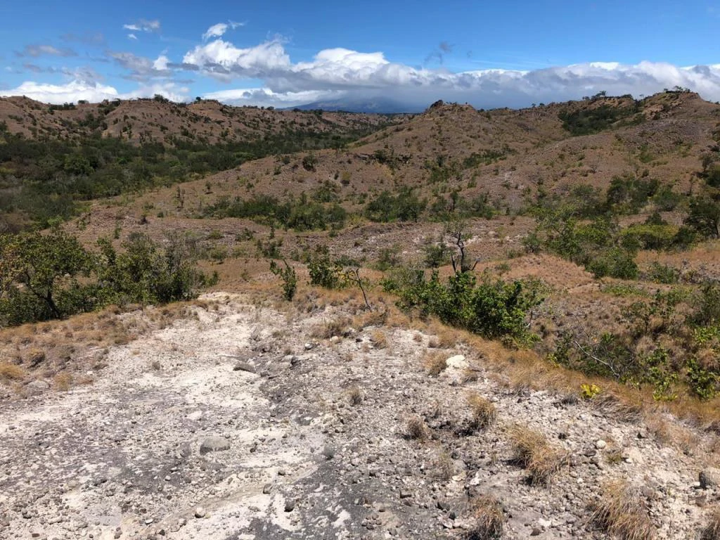 Big Farm: Property of 231 hectares in the Salto de Bagaces - Gallery image 3