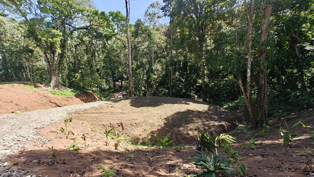 ID  1011: 7535m² Cahuita Land Near the Beach with Building Platform - Gallery image 8