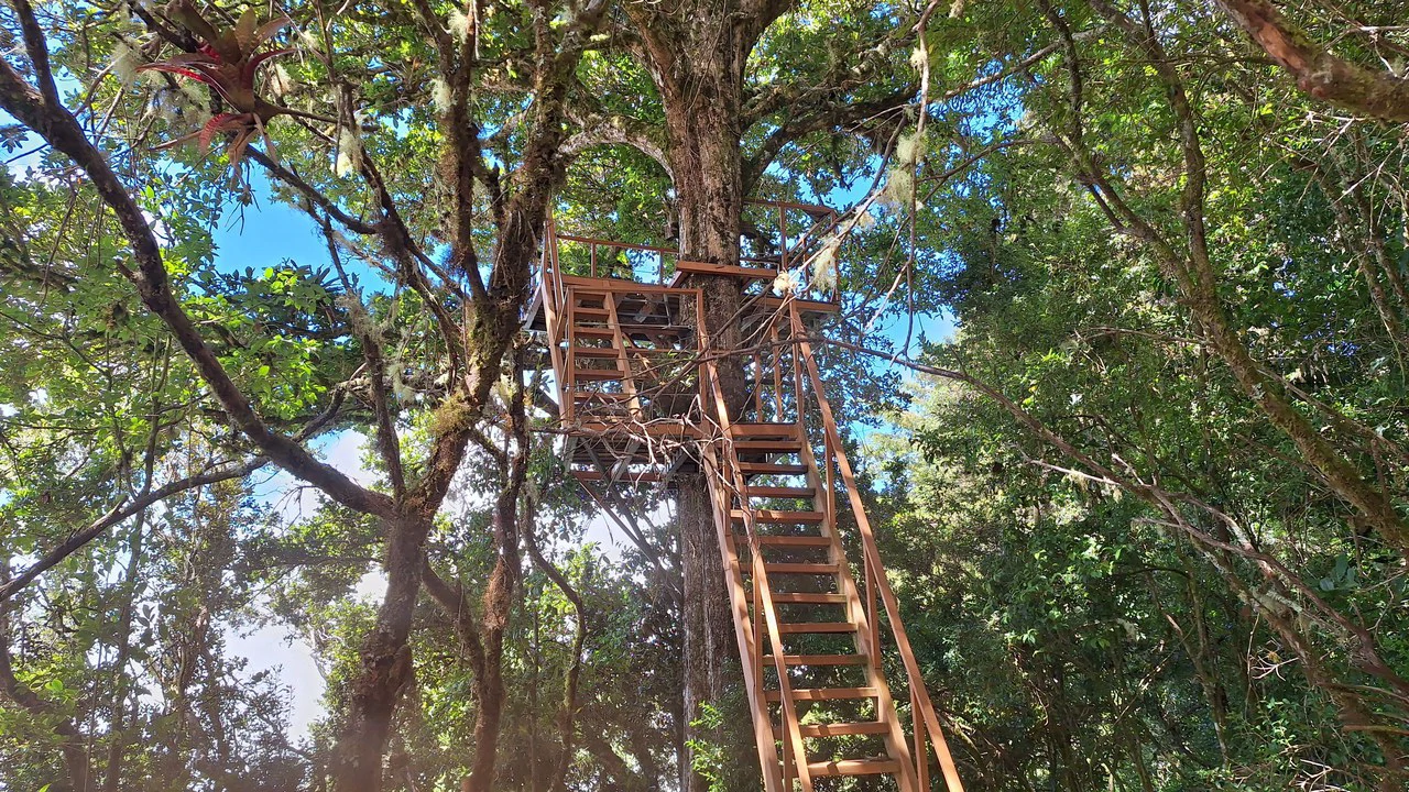 Se vende propiedad Ubicada en División de Paramo.: Mountain Home Construction Site For Sale in Division de Páramo - Gallery image 10