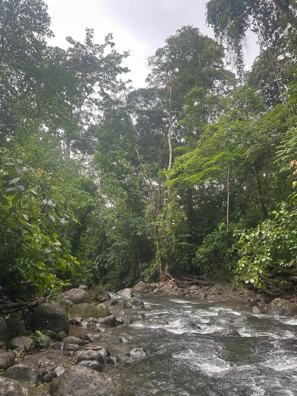 Incredible Building Lot: Riverfront Home Construction Site For Sale in Peñas Blancas - Gallery image 9