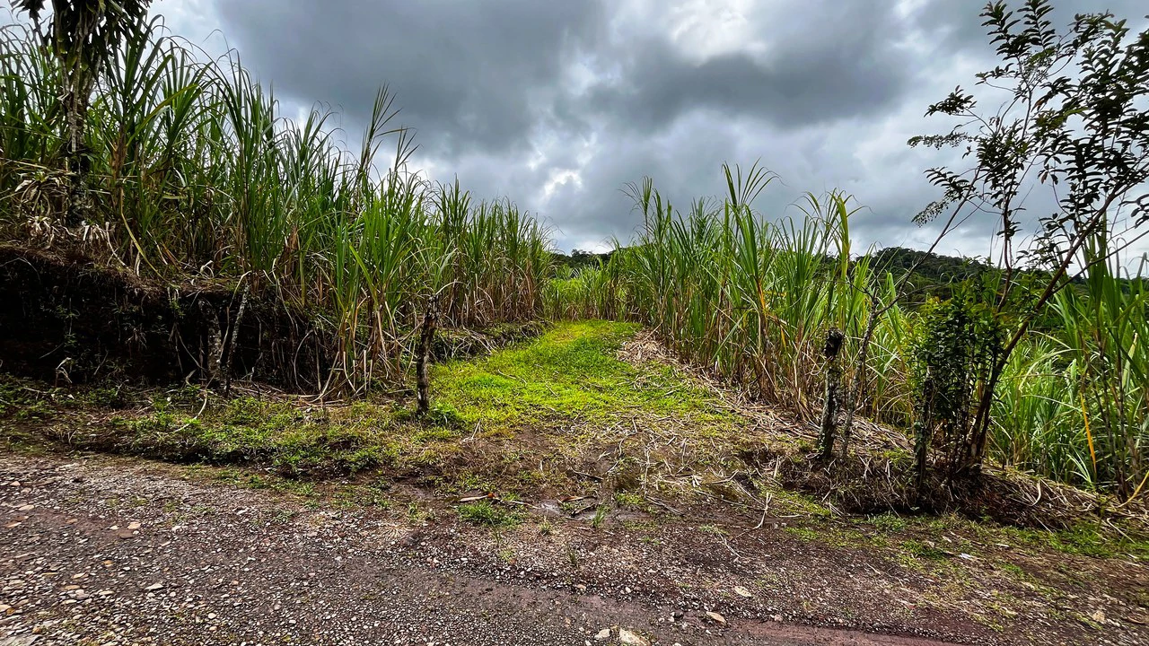 Mountain Agricultural Land For Sale in Centro de Pérez Zeledón - Gallery image 2