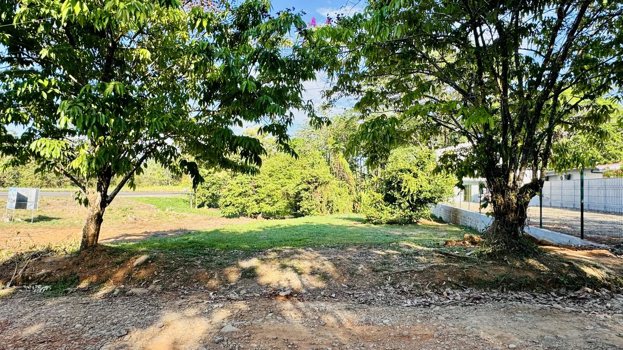 ZONED RESIDENTIAL / COMMERCIAL LOT IN COVETED LOCATION!! - Gallery image 6