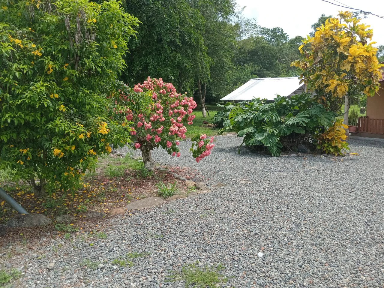 Farm home in Blanco: Ideal retirement farm at the foot of the rainforest - Gallery image 5