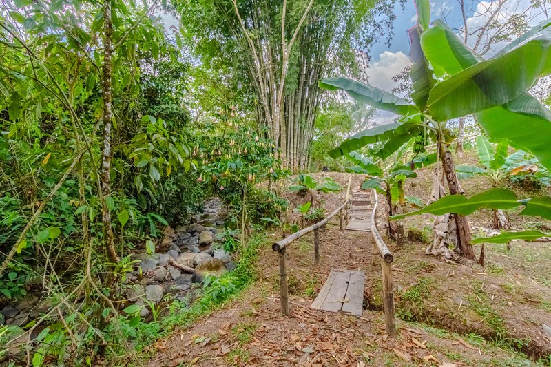 Casa San Pedrito: Beautiful house for sale in San Pedrito,(1,3hect) Perez Zeledon - Gallery image 9