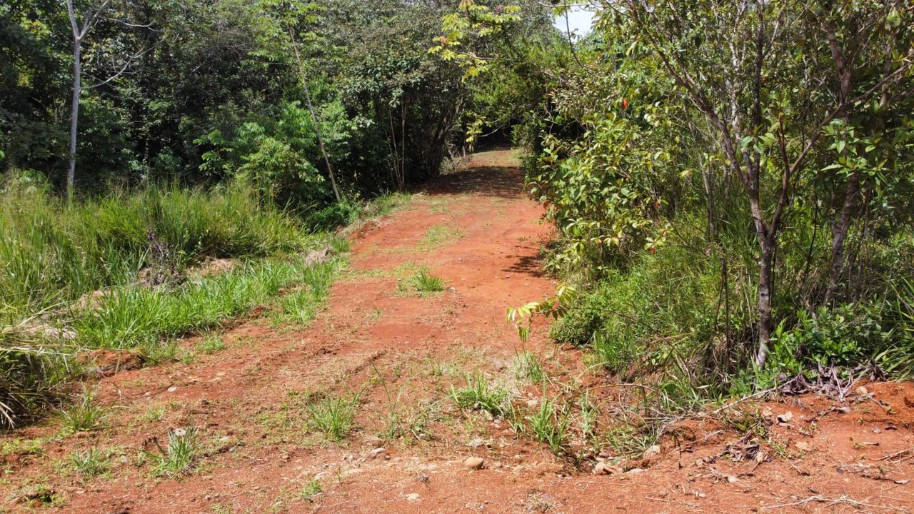 Se vende lote de 1000m2, ubicado cerca del colegio Aeropuerto Jerusalen, Perez Zeledon: Home Construction Site For Sale in Centro de Pérez Zeledón - Gallery image 10