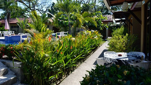 A Pristine 3-Star Jacó Gem Hotel with prime location and a history of excellence - Gallery image 11