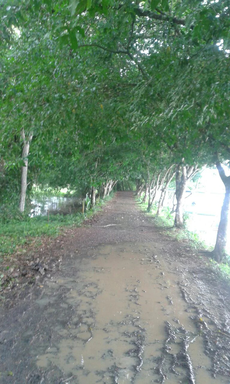 Propiedad grande: Countryside Home Construction Site For Sale in Caño Negro - Gallery image 17