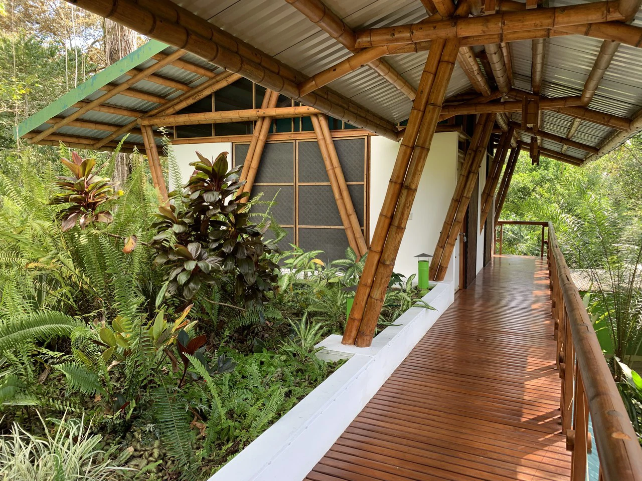 Jungle Beach Exotic Retreat - Gallery image 18