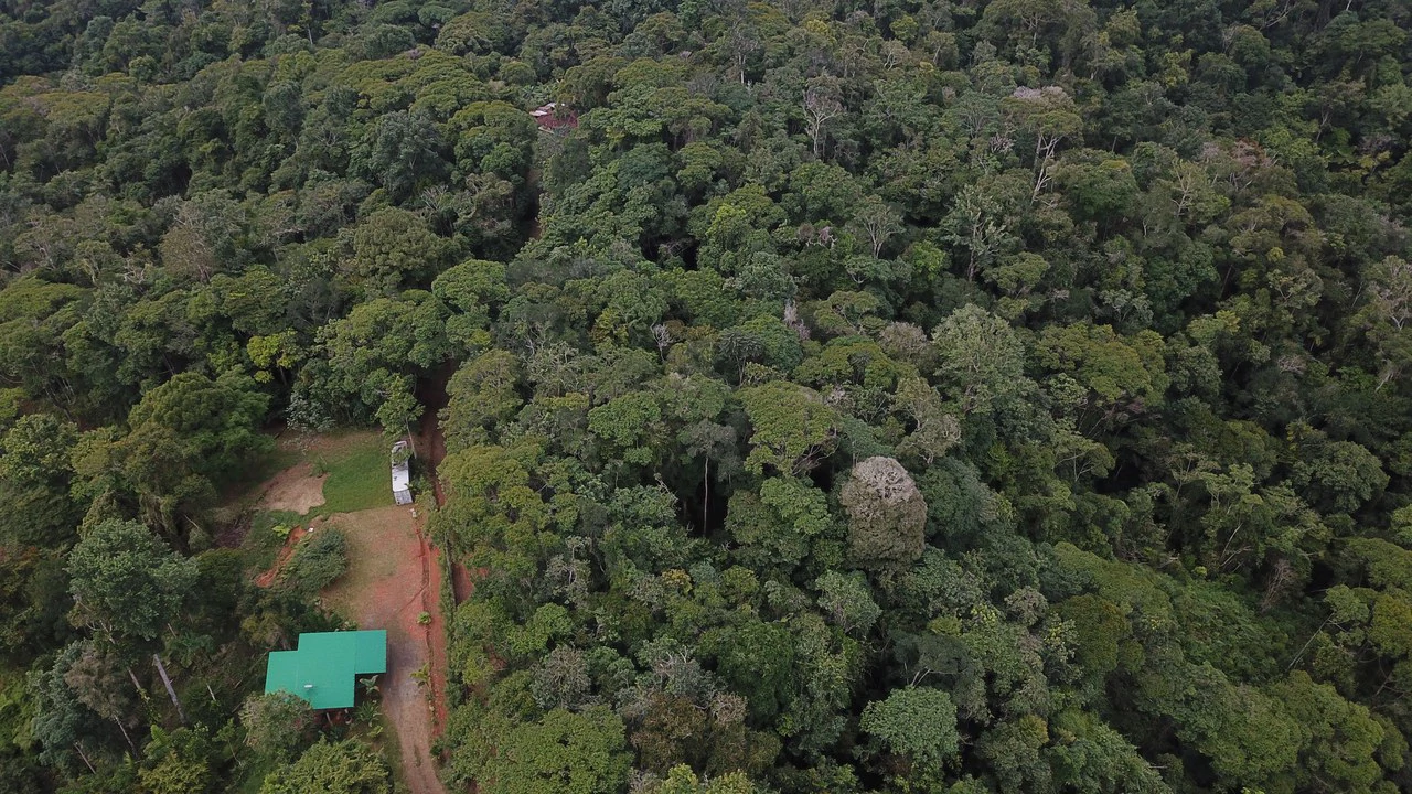 Ocean View Forest Reserve with Private Homesite Near Tinamastes - Gallery image 18