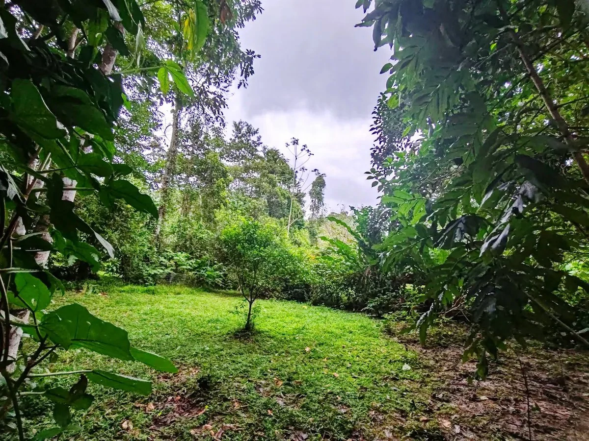 ID 651: Titled Building Lot near Punta Uva Beach: 5875 sqm with Creek - Gallery image 2
