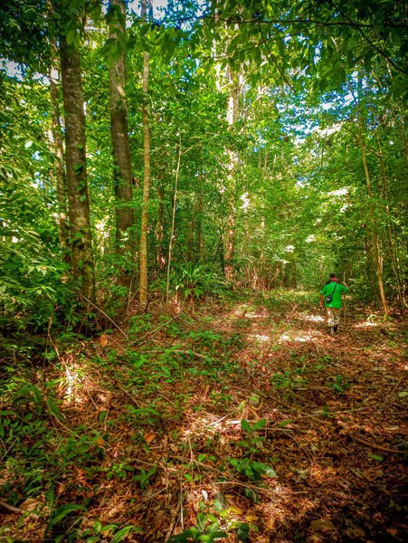Ocean View & Primary forest 55-ha Rincon de Osa - Gallery image 21